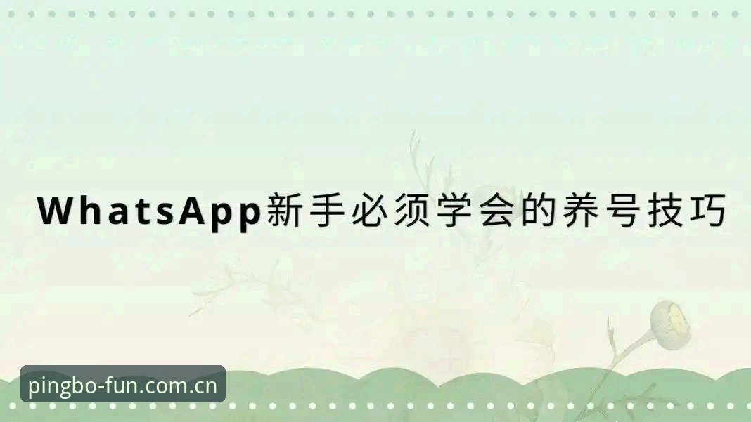 平博福利实用指南：从注册到APP下载的完整评测与技巧